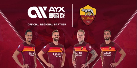 合理限制